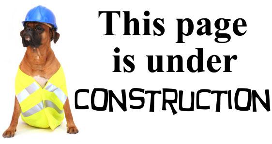 This page is under construction; Fort Worth Ophthalmologist